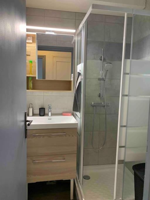 Appartement Cosy Confort Parking Clim Wifi Linge Acces Piscine Non Inclus Canet-en-Roussillon Exteriör bild