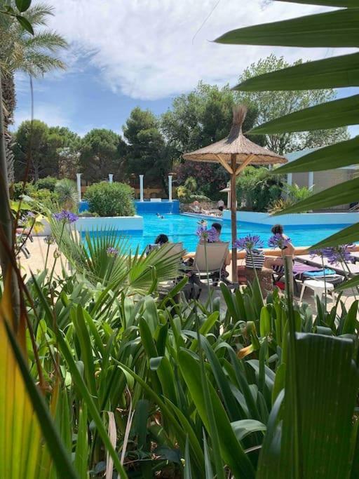 Appartement Cosy Confort Parking Clim Wifi Linge Acces Piscine Non Inclus Canet-en-Roussillon Exteriör bild
