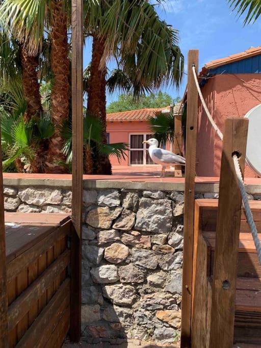 Appartement Cosy Confort Parking Clim Wifi Linge Acces Piscine Non Inclus Canet-en-Roussillon Exteriör bild