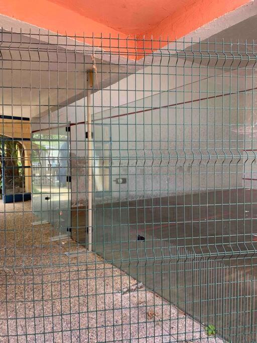 Appartement Cosy Confort Parking Clim Wifi Linge Acces Piscine Non Inclus Canet-en-Roussillon Exteriör bild