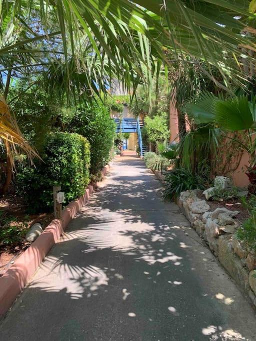 Appartement Cosy Confort Parking Clim Wifi Linge Acces Piscine Non Inclus Canet-en-Roussillon Exteriör bild