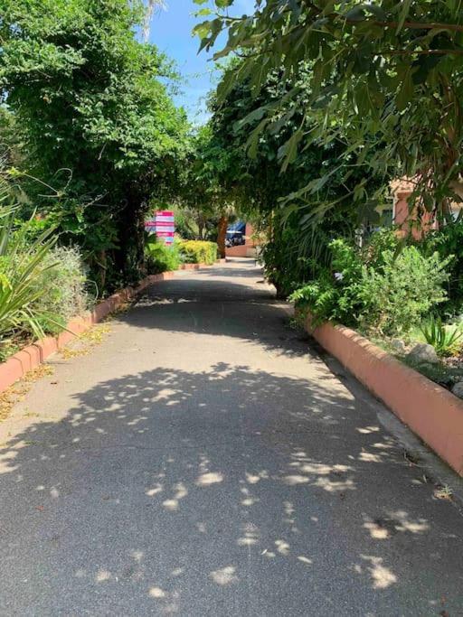 Appartement Cosy Confort Parking Clim Wifi Linge Acces Piscine Non Inclus Canet-en-Roussillon Exteriör bild