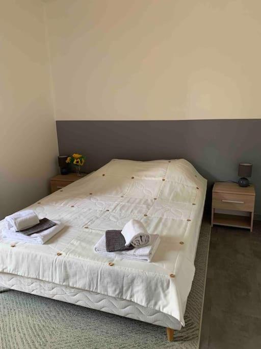 Appartement Cosy Confort Parking Clim Wifi Linge Acces Piscine Non Inclus Canet-en-Roussillon Exteriör bild